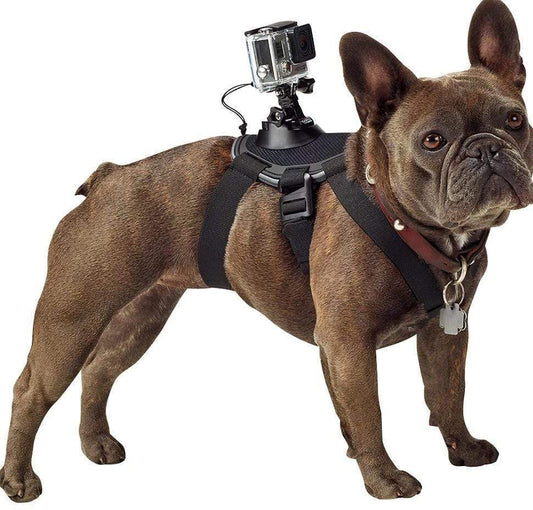 Action Cam Mount Dog Harness CraveStore